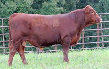 Lot 32 - 677D